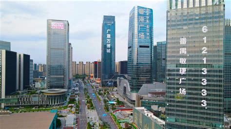 广州番禺：对标最高最好最优 打造营商环境标杆城区