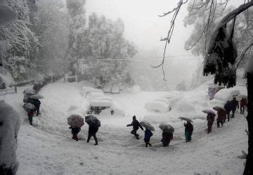 Beautiful 14 Days Manali Honeymoon Vacation Package | Shimla, Manali ...