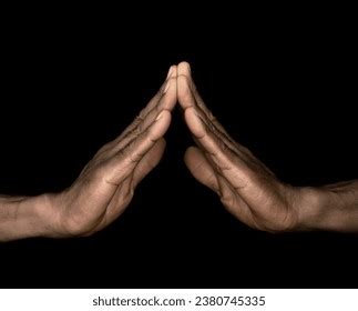 Speaking Sign 的图像结果