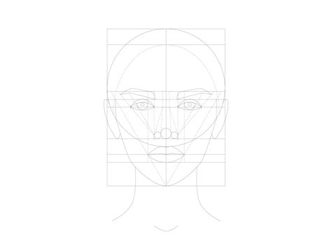 Ideal facial proportions. Golden ratio face. Outline template. by Art ...