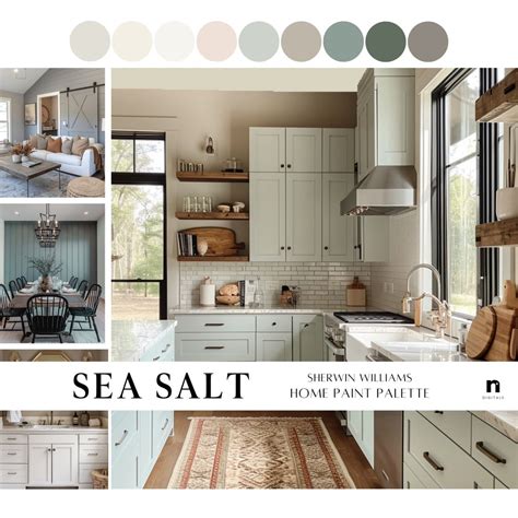 Sherwin Williams Sea Salt Home Paint Scheme, Whole House Color Palette, Home Renovation Paint ...