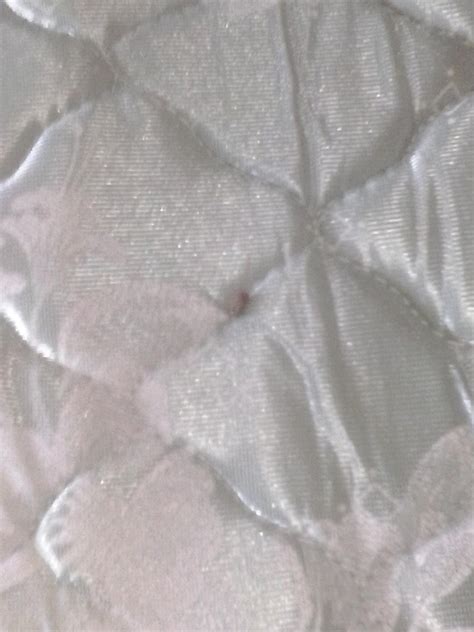 AMERICAN INN (Anniston) - Hotel Reviews, Photos, Rate Comparison ...