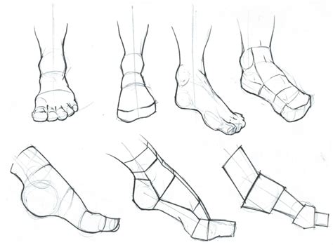 Foot Drawing 的图像结果