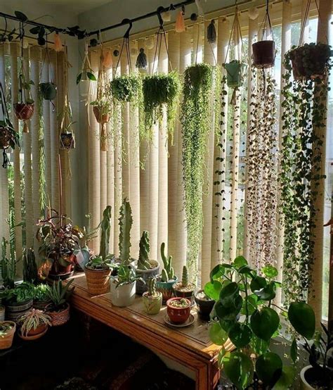 Plant Decor Indoor, House Plants Indoor, Patio Plants, Windowsill ...