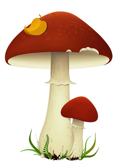 Mushroom Clip art - Fall Mushrooms Transparent PNG Picture png download ...
