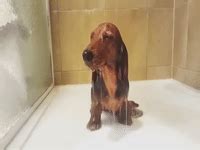 Image result for Python Is Not Defined
