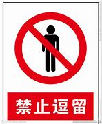 Image result for stay 逗留了