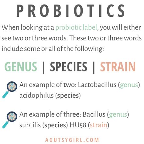 All About Probiotic Strains and Species - A Gutsy Girl®