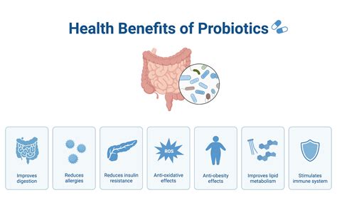 Top Probiotic Strains for Digestive Health: Which Ones to Look for in 2025