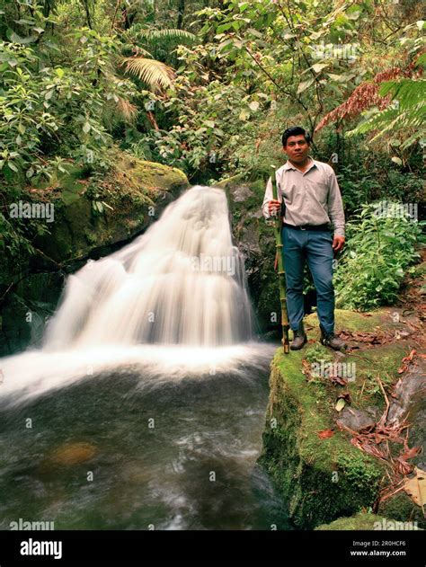 PANAMA, David, Guadalupe, Los Quetzales Lodge, a local Chiriqui guide ...