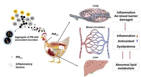 Exposure to Particulate Matter in the Broiler House Causes Dyslipidemia ...