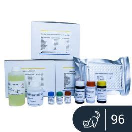 VetLine Feline Immunodeficiency Virus (FIV)