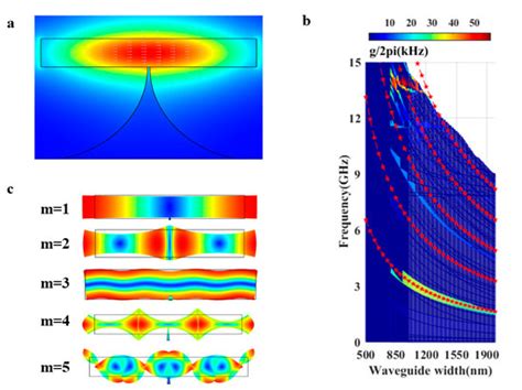 Tailorable Brillouin Light Scattering in a Lithium Niobate Waveguide