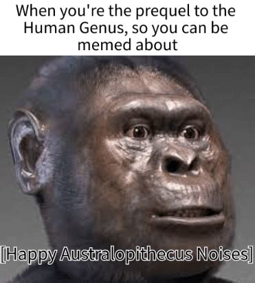 Image result for Australopithecus Meme