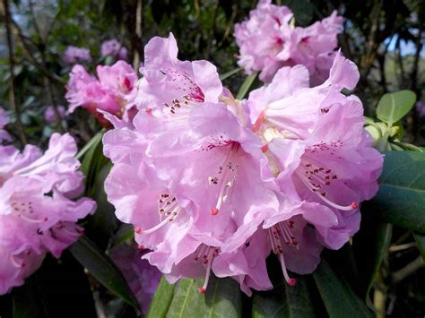 Feeding plants and borders | Love The Garden