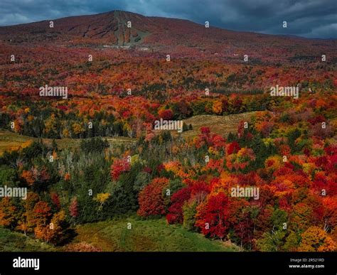 Vermont Fall Foliage Display - Aerial view of the natural landscape and ...