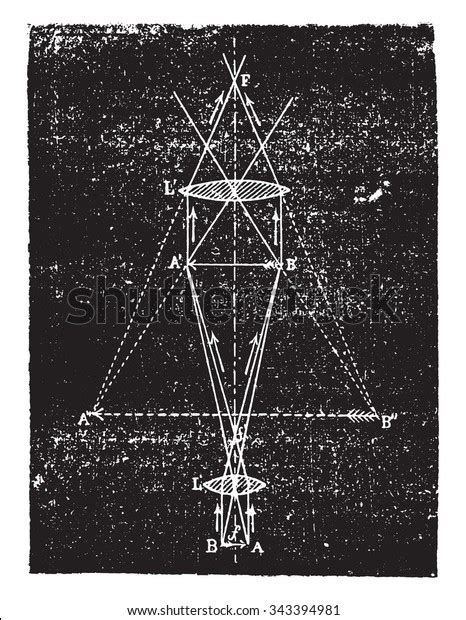 Image result for Biological Drawing of Compounb Light Microscope