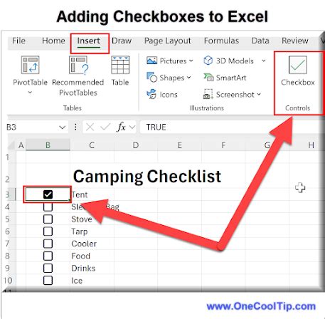 Image result for Checkboxes in Excel Guide
