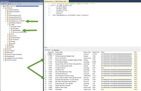 Recovery SQL Server 的图像结果