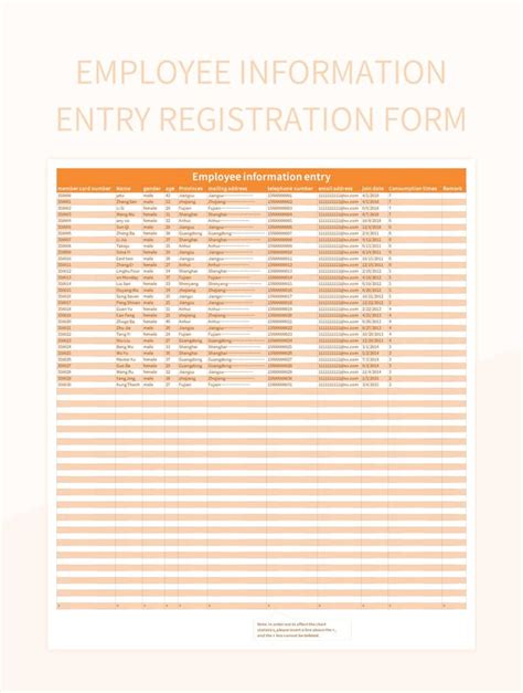 Data Entry Information Example 的图像结果