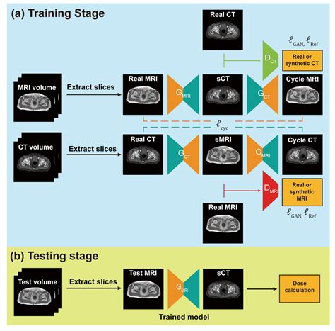Feasibility of Synthetic Computed Tomography Images Generated from ...