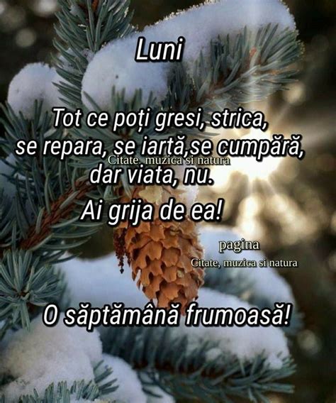 Pin di Doina-Florica Chira su Urări de bună dimineața