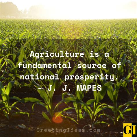 Agriculture Quotes 的图像结果
