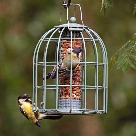 Peanut Feeders from Living with Birds