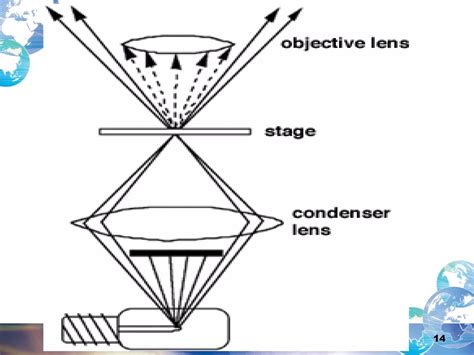 Dark field microscopy | PDF