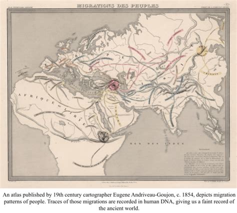 Race Human Categorization 的图像结果
