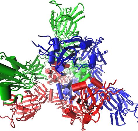 PNAS：新冠病毒Spike蛋白介导的病毒感染与细胞膜融合的分子机制 - 生物通