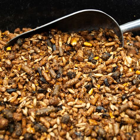 Carolina Pride Whole Grain 17% Layer - Coker Feed Mill