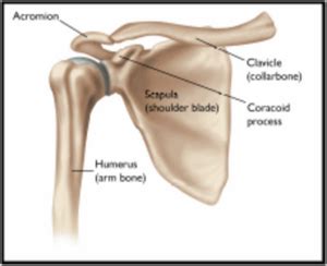 Total Shoulder Replacement Dr. Sachin Karkamkar | Dr. Karkamkar's ...
