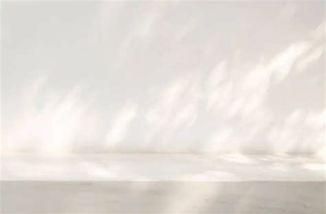 Image result for White Background Studio Tips