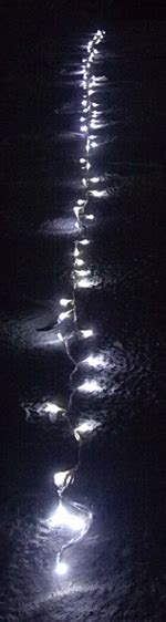 Image result for LED Light Strand Pattern