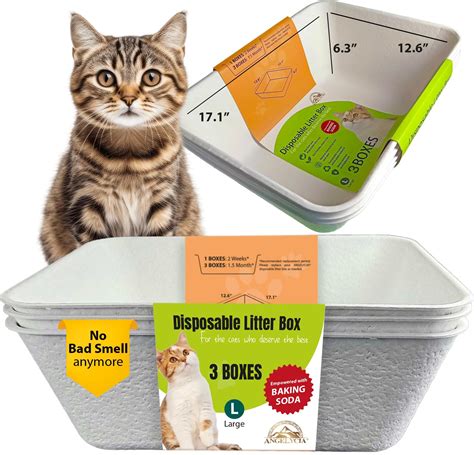 Cat Disposable Litter Box at Jose Takahashi blog