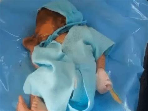 Jalore Villagers Rescue Baby Abandoned in Cement Bag | Insects ...