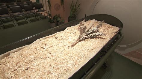 Image result for Human Corpse Composting