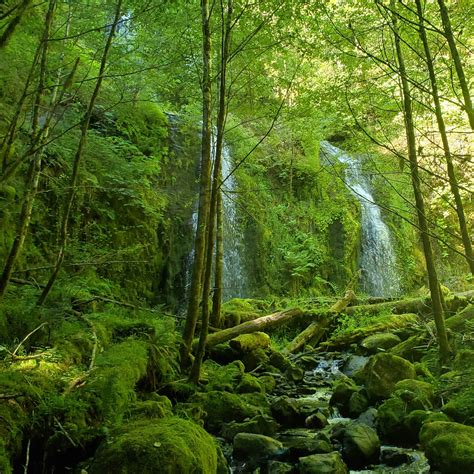 Tillamook State Forest Jordan Creek OHV Campground & Staging Area | The ...