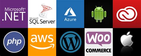 Image result for Net Software Development Services