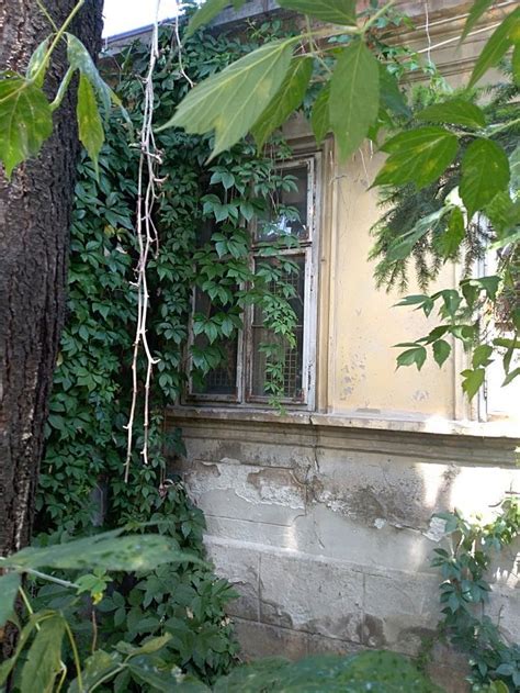 APARTMANI STOJKOVIC (Jagodina) - Lodging Reviews & Photos - Tripadvisor