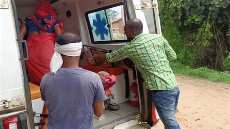 Balaghat News: जंगल के पास गूंज रही थी किलकारियां, बकरी चराने वालों ने ...