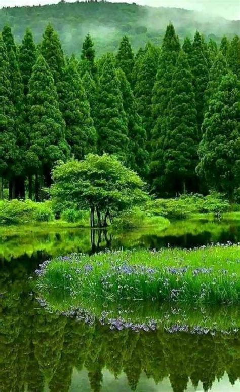 Nature Beauty Images 的图像结果