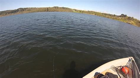 Triggered Bass Compilation 的图像结果