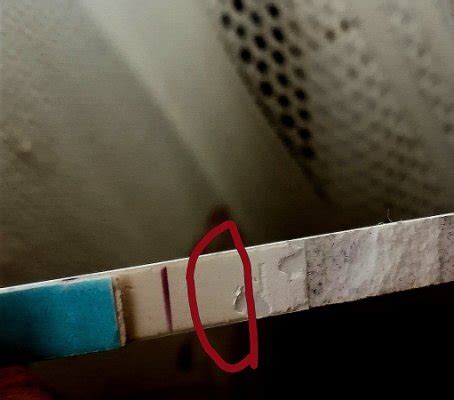 Evatest positivo o evaporación? | BabyCenter