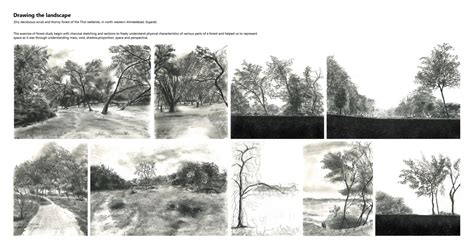 The forest maze | CEPT - Portfolio