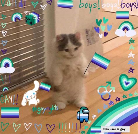 Image result for Toothpaste Flag