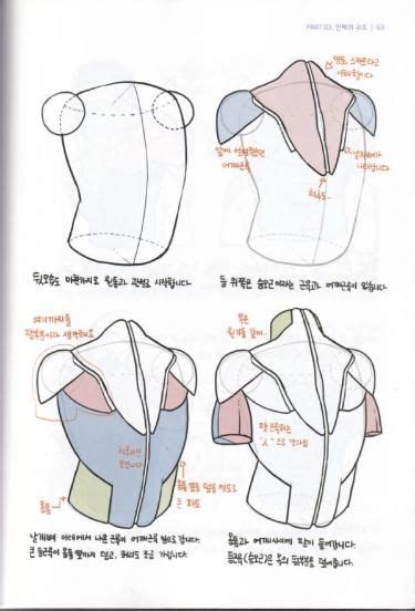 Image result for Basic Human Character Reference Image