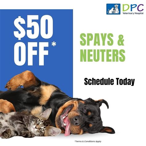 Dpc Veterinary Hospital