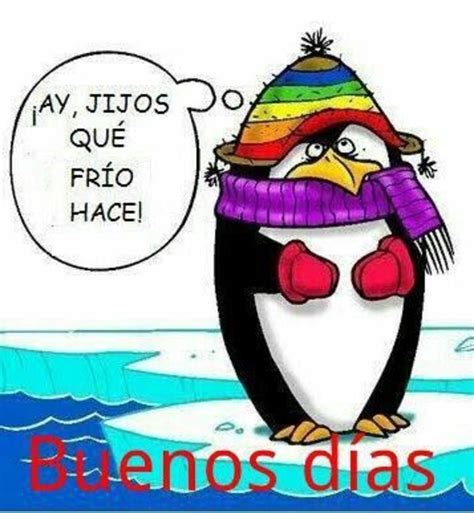 Buenos Días fríos - BonitasImagenes.net | Good morning greetings, Good ...
